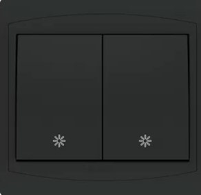 Interrupteur double allumage Réf : 10211NR