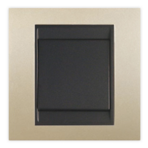 INGELEC ALYANS PLAQUE SIMPLE 1 POSTE PRIMA CHAMPAGNE P2223G